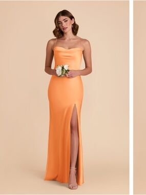 Birdy Grey Matte Satin Apricot Olivia Dress